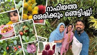 കാണണം ഈ വീട്ടമ്മയുടെ ജീവിതം Amazing fruits farm by a house wife - Route Records