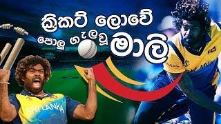 ක්‍රිකට් ලොවේ පොලු ගැලවූ මාලී...