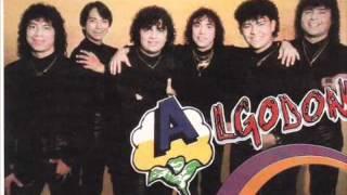 Algodón - El divorcio