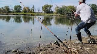 CARPA CASI ROBA MI CAÑA DE PESCA  Best carp bait