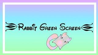 Rabbit GreenScreen
