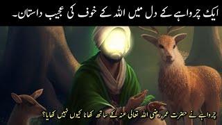 Charwaha aur Allah ka khof  islamic stories  moral stories  Urdu.fiction