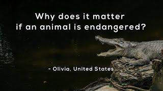 Why does it matter if an animal is endangered?