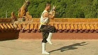 Shaolin Kung Fu Combat Styles 5. 7-star form 七星拳 qixing quan