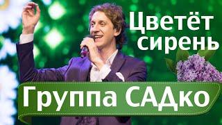 ЦВЕТЁТ СИРЕНЬ - АБАЛДЕННАЯ песня от ГРУППЫ САДко 