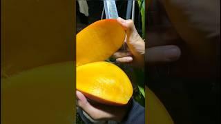 Semua suka mangga