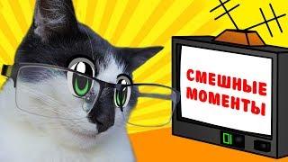 ЛУЧШИЕ ПРИКОЛЫ С КОТАМИ КОТ и КОШКА МУРКА и  СМЕШНЫЕ МОМЕНТЫ СО СЪЕМОК наши Приколы и Фейлы