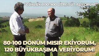 80-100 Dönüm Mısır Ekiyorum 120 Büyükbaşıma Veriyorum  “Günlük 800 – 900 Litre Süt Alıyorum”