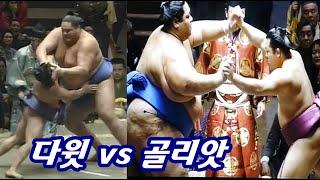 169cm 스모의 기적 200kg에 맞선 작은 거인의 전설 마이노우미 명승부 하이라이트