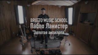 «BRUTTO MUSIC SCHOOL» Пабло Ланистер  - “Золотая антилопа”