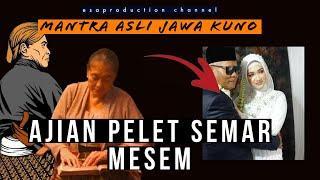 WASPADAI INI  AJIAN PELET SEMAR MESEM