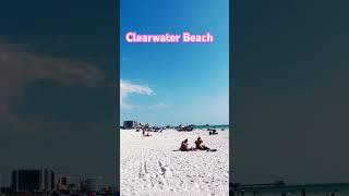 #clearwaterbeach #frenchies #beaches #florida