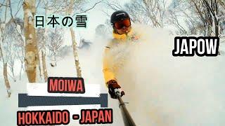 Backcountry Skiing in Moiwa Japan - Powderskiing in Niseko Hokkaido - JAPOW Moiwa Lodge