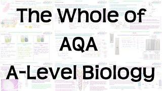 The Whole of AQA A-Level Biology  Exam Revision for Papers 1 2 and 3