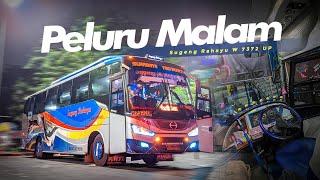 MELESAT SEPERTI PELURU SURABAYA-SOLO CUMA 4 JAM   - Trip Sugeng Rahayu 7372 Peluru Malam