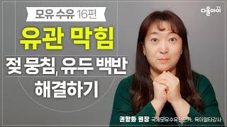 유관 막힘젖 뭉침 유두백반 해결하기 모유 수유 16편