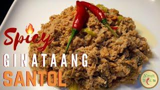 SPICY GINATAANG SANTOL RECIPE  Namit Bicol TV