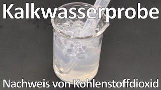 Kalkwasserprobe zum Nachweis von Kohlenstoffdioxid und gelöstem Calciumhydroxid  - Chemie Schule