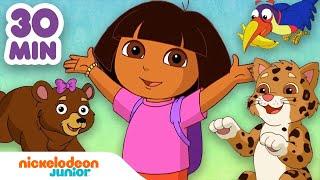 Dora lExploratrice  Dora & Babouche sauvent des animaux    Nick Jr.