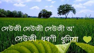 #Jyoti sangit..Sewji sewji sewji oJyoti Prasad Agarwalas Assamese song..সেউজী সেউজী অসমীয়া গান