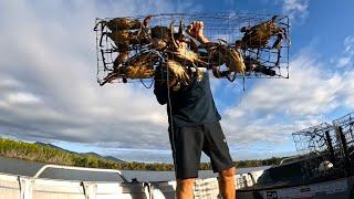 CHECK CRAB POTS  Easy SEAFOOD Recipe