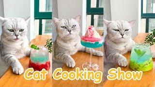 Chef Cat Cooking Yummy Drinks Compilation  5 Easy Drinks You Can DIY at Home  Cute Cat TikToks