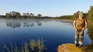 Naturskön och intressant vandringsled i Kärrsjöns kultur och naturområde Härryda kommun