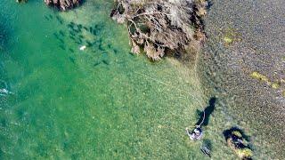 Incredible Winter Fly Fishing For BIG  Rainbow Trout like Steelhead