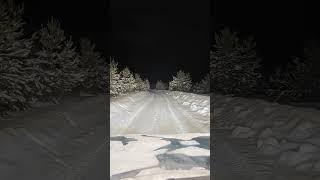 Forest road #2024 #niva #winter #light #forest #road #лес #зима #снег #природа #nature