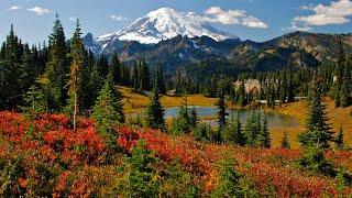 Discover Mt. Rainier National Park from Seattle Washington