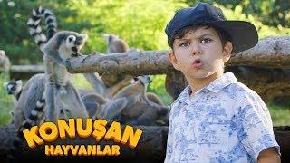 Hayvan Dostlarım - Konuşan Hayvanlar Soundtrack  Film Müziği