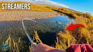 Finding a Giant Brown Trout Streamer Fishing