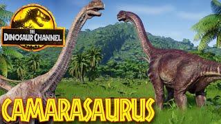 What was the Camarasaurus? - The Dinosaur Channel