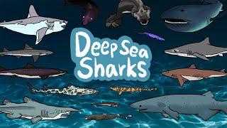 Deep sea sharks  What Kind of Sharks live under the deep ocean?  Kids Draw