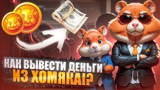 Как вывести деньги с Hamster Kombat 8 июня - Комбо Шифр и кошелек ТОН в Телеграм