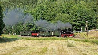 Die Pressnitztalbahn im Sommer 2023  von Jöhstadt nach Steinbach und zurück