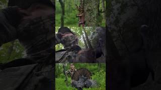 Ohio turkey goes down  turkey hunting success #turkeyhunting