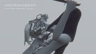 SHEDFROMTHEBODY - LUNGS OFFICIAL AUDIO