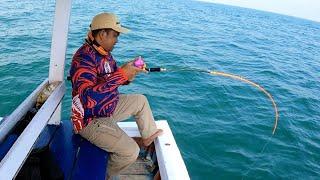 TERBAIK... Umpan Cumi Hidup Pasti Josss Buat Mancing Dasaran