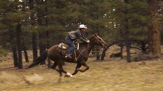 Horseback Riding near Bryce Canyon  Slow Motion
