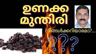 ഉണക്കമുന്തിരി  ഗുണങ്ങൾ എന്തെല്ലാം? How to Use Raisins? Benefits of Raisins? Ayurvedic Medicine