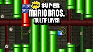 NSMB Mario vs Luigi PC MULTIPLAYER Again