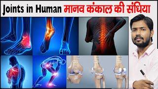 मानव शरीर की संधि  Joints In Human skeleton  Joints Of Body  Joints Of Bone  Types Of Joints