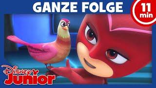 Eulettes gefiederter Freund GANZE FOLGE 26  PJ Masks Pyjamahelden