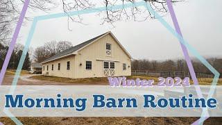 MY MORNING BARN ROUTINE Feeding the Horses & Barn Chores  Winter 2024 •  EQUESTRIAN VLOG