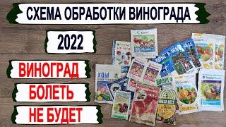  Виноград болеть не будет. Рабочая СХЕМА ОБРАБОТКИ от основных болезней из ДОСТУПНЫХ ПРЕПАРАТОВ.