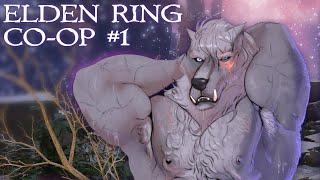 Lets Play Elden Ring Co-op Part 1 - FIVE PLAYERS feat.@illusorywall Seamless Co-op Mod