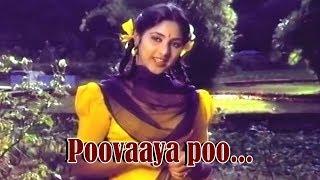 Poovaya poo... - Love Story Malayalam Movie Song  Rohini  Shafeeq