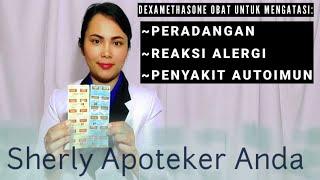 Obat Peradangan Kulit Dan Obat Alergi - DEXAMETHASONE Tablet