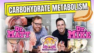 Carbohydrate Metabolism - Glycolysis Krebs Cycle and Electron Transport Chain  Podcast